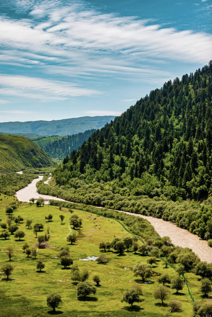 China’s most healing fairyland, beautiful to suffocate